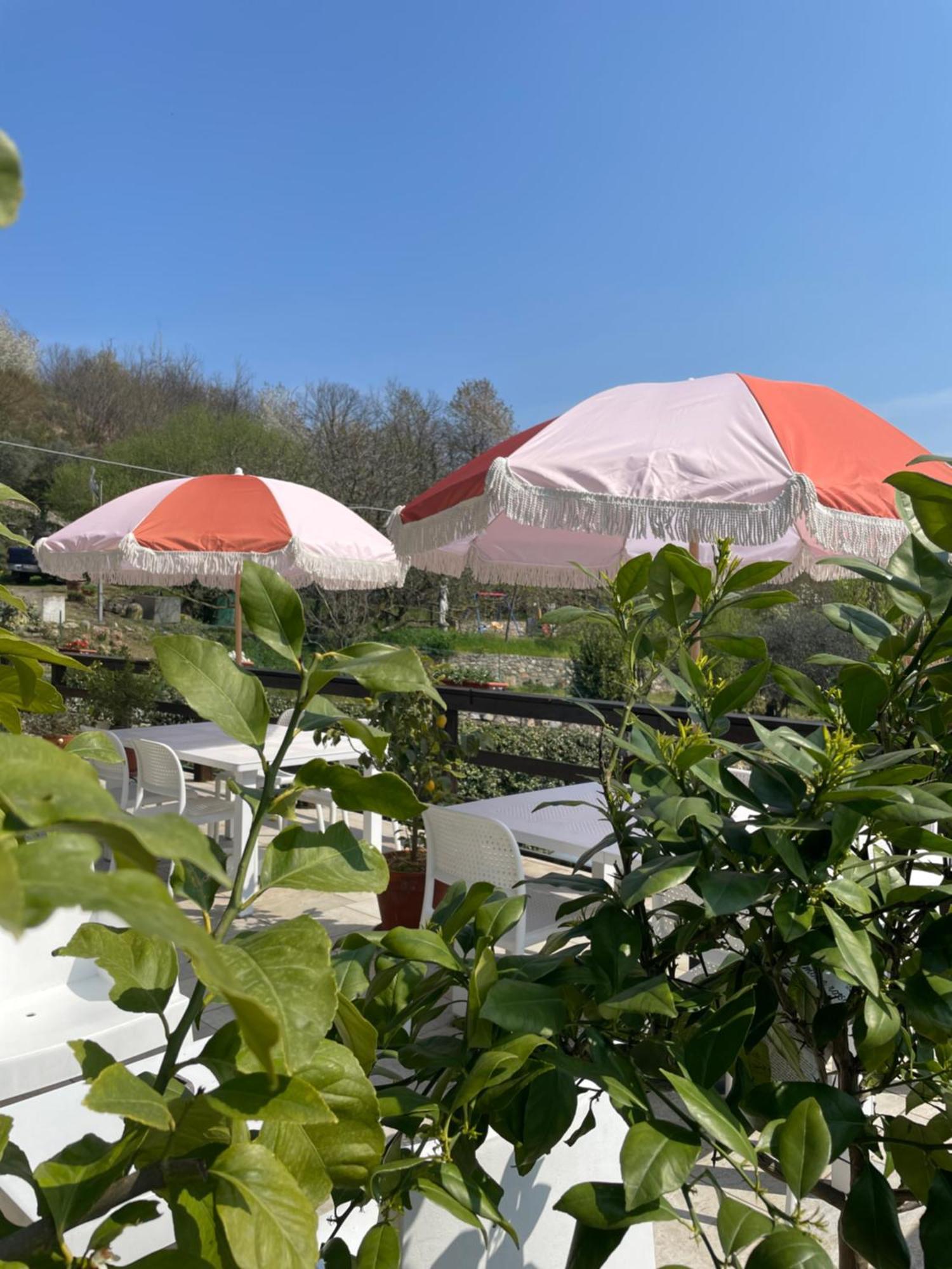 Bb10 Oasi Guest House Arona Exterior foto